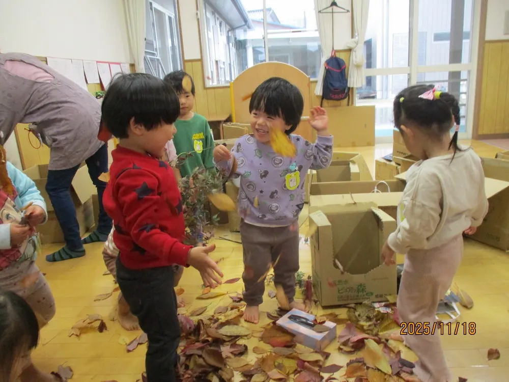 葉っぱ、木の実を園庭に散りばめてみよう