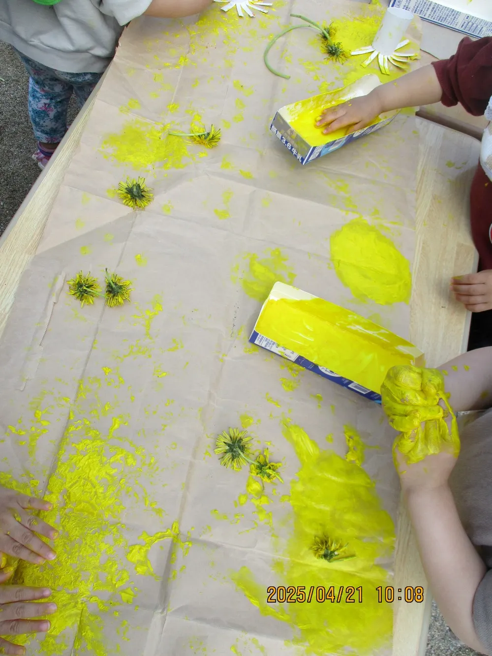 たんぽぽで遊ぶようす